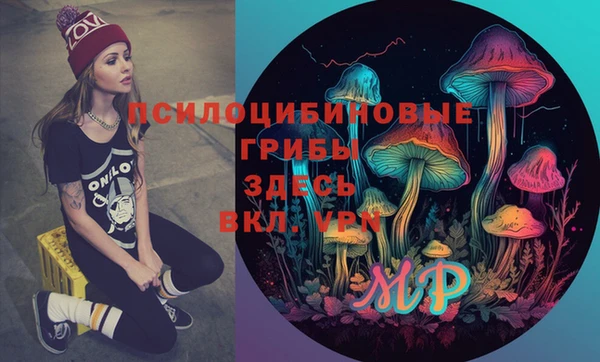 спиды Новозыбков