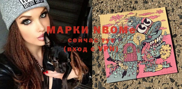 сатива Балахна